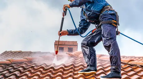 Nettoyage et traitement de toiture 77